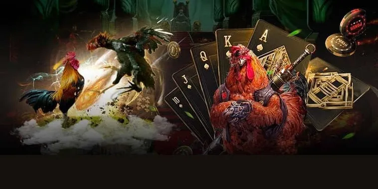 Khám Phá Đá Gà CWin: Hướng Dẫn Tham Gia