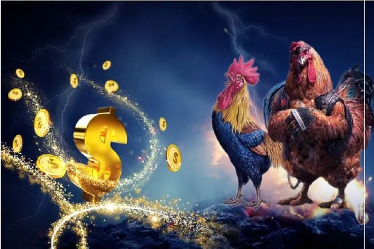 Cách Chơi Đá Gà GA28 Tại CWin: Hướng Dẫn Chi Tiết