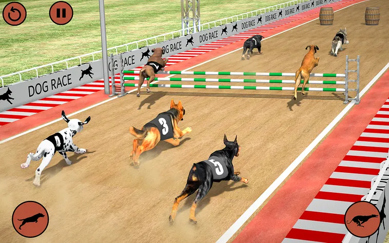 Cách Chơi Game Nhanh Đua Chó Tại CWin Hiệu Quả Nhất