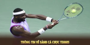 Tìm Hiểu Cá Cược Quần Vợt CWin: Hướng Dẫn Chi Tiết